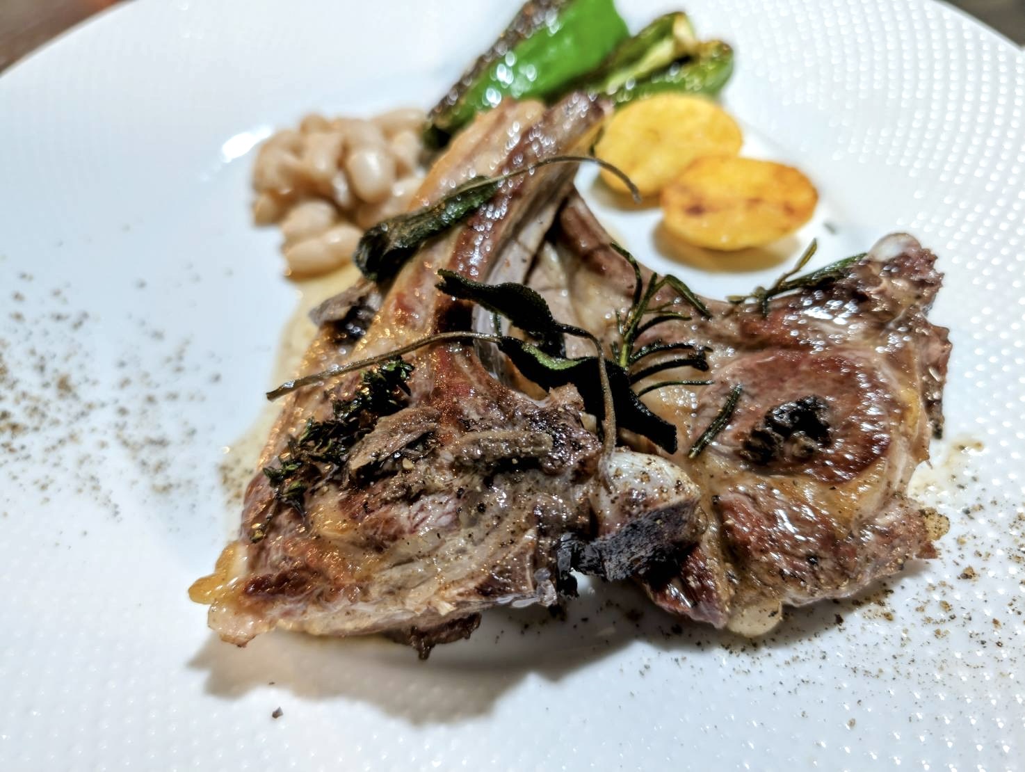 CENA MENU　ディナーメニュー